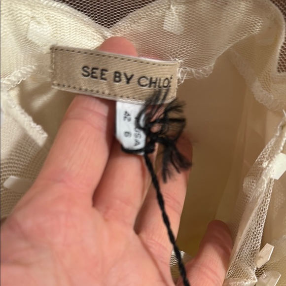 NWOT See by Chloe Cream Sheer Polka Dot SequinTop, size 6 / 42 - Picture 7 of 8